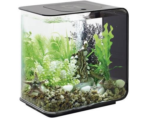 Comparer les prix de Aquarium 15 l Oase 72029 avec éclairage LED
