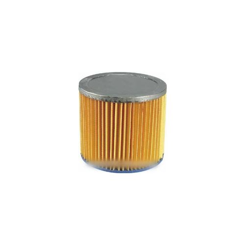 Cartouche filtrante s21 pour aspirateur aquavac - 5157860