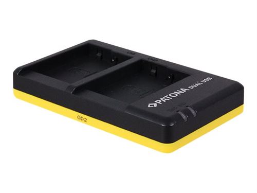 PATONA Dual Quick-Charger - Chargeur de batterie USB - 2 x charge de batteries - 700 mA - pour Panasonic Lumix DC-TZ93, TZ95, TZ96, ZS200, DMC-TZ82, LX100, ZS80; Lumix G DC-G100, GX9