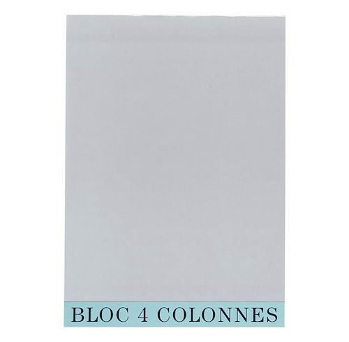 Bloc de contrôle comptable 4 colonnes Exacompta 5704E
