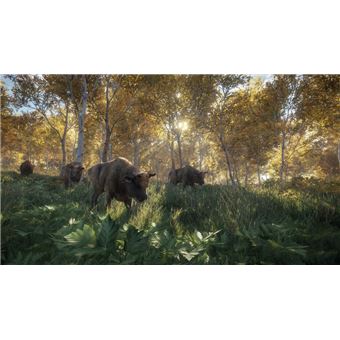 The Hunter : Call of the Wild sur PlayStation 4