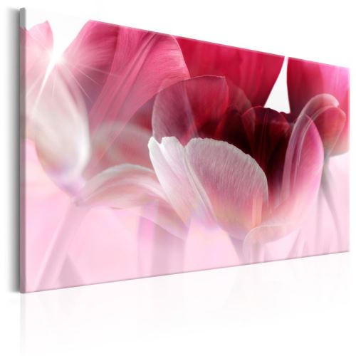 Tableau - Nature: Pink Tulips .Taille : 120x80