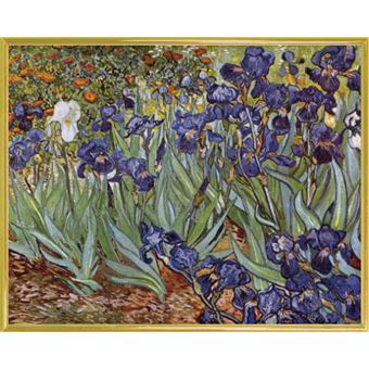 iris van gogh prix