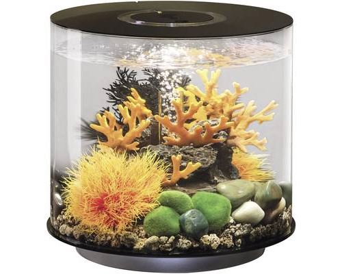 Comparer les prix de Aquarium 15 l Oase 72062 avec éclairage LED