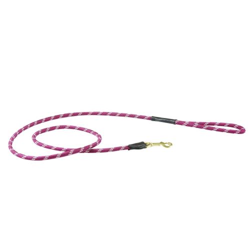 Meilleurs prix pour Weatherbeeta - Laisse - Chien (1.2m) (Rouge/ marron) - UTWB1344