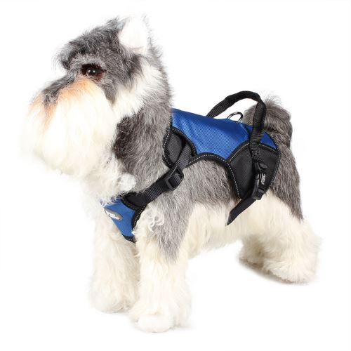 Comparer les prix de Harnais TUFFHOUND Bonne qualité Durable pour chien - Bleu (Taille: M)