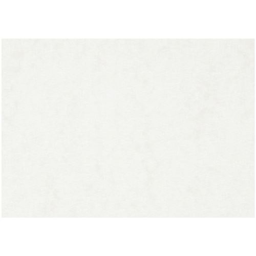 TOM papier aquarelle 100 pièces A3 300 gr