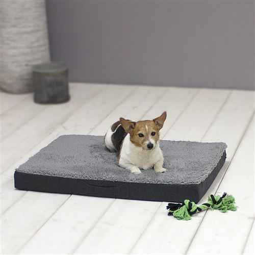 Coussin Orthopédique pour Chien Sun Garden Buddy 72x50x8cm Gris