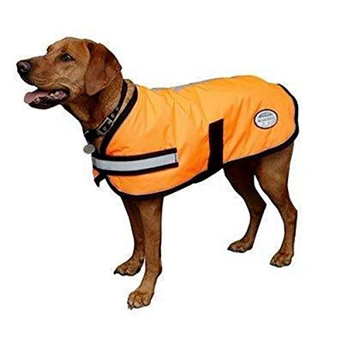 Comparer les prix de Weatherbeeta - Parka réfléchissante (65cm) (Orange) - UTWB315