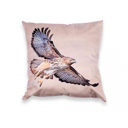 SOLEIL D'OCRE Coussin déco déhoussable AIGLE 45x45 cm - Marron et noir