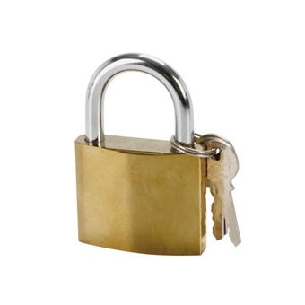 COGEX Cadenas en acier 50mm + 2 clés - Accessoires pour portes et loquets -  Achat & prix