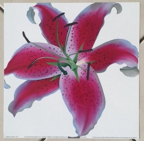 Stephanie Andrew - 30x30 cm - AFFICHE / POSTER