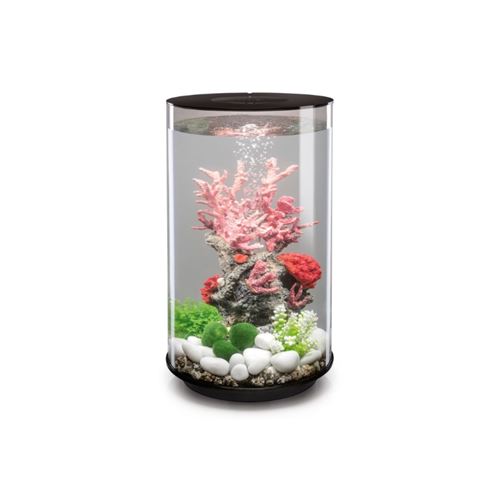 Meilleurs prix pour Aquarium 30 l Oase 72066 avec éclairage LED