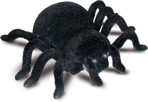 Gerardo's Toys tarentule Spy SpiderRC 15 cm noir