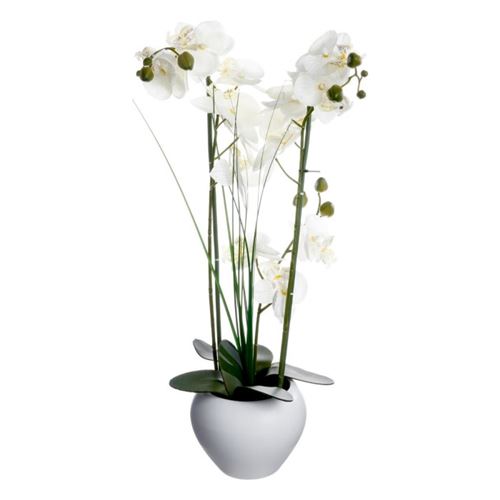 Blanc Atmosphera Créateur D'intérieur - Composition Florale & Vase "Orchidée" 53Cm
