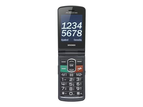 Brondi Amico N°UNO - Téléphone mobile - double SIM - microSD slot - GSM - 320 x 240 pixels - 1,3 MP - titane