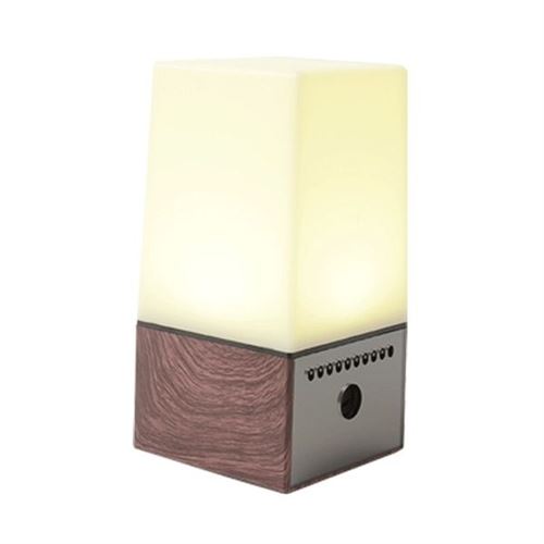  Veilleuse Lampe haut-parleur cam&eacute;ra espion wifi HD 1080P microphone