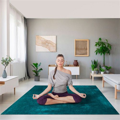 Tapis moderne pour salon design antistatique anti-stress Milano PET101, Taille: 80 x 150