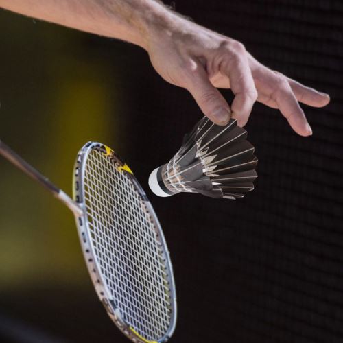 Volant de badminton Paquet de 12 en plumes d'oie Noir - Accessoire badminton  - Achat & prix