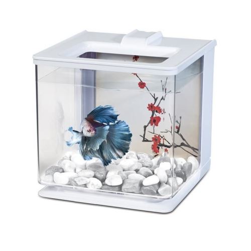 Comparer les prix de marina aquarium ez care pour betta - 2,5 l - blanc