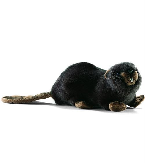 Hansa Peluche Castor Anima Couché 22Cm