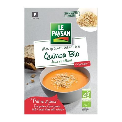 le paysan quinoa a germer
