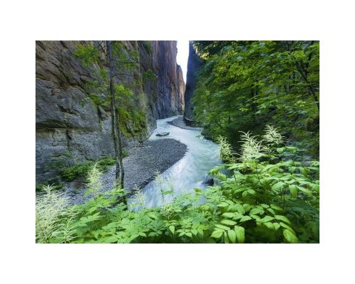 Puzzle 1000 Pièces : Gorges de l'Aar, Ravensburger
