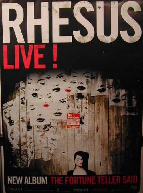 RHESUS - 70x100 cm - AFFICHE / POSTER