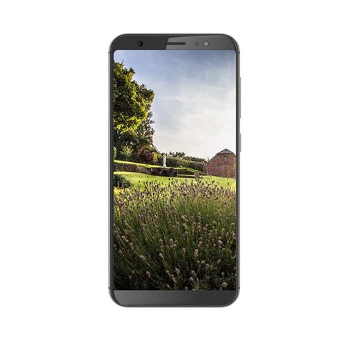 Gigaset gs815-Metal Cognac Smartphone (écran Tactile (5,5 Pouces), 2 Go RAM/16 Go, Dual SIM, Android 8.1)