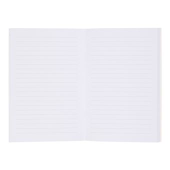 Carnet A6 Ligné - Bleu Et Rose - Draeger Paris