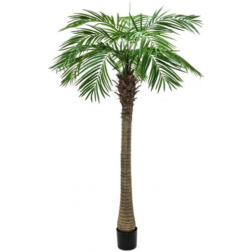 EUROPALMS Phoenix palmier luxor, plante artificielle, 210cm