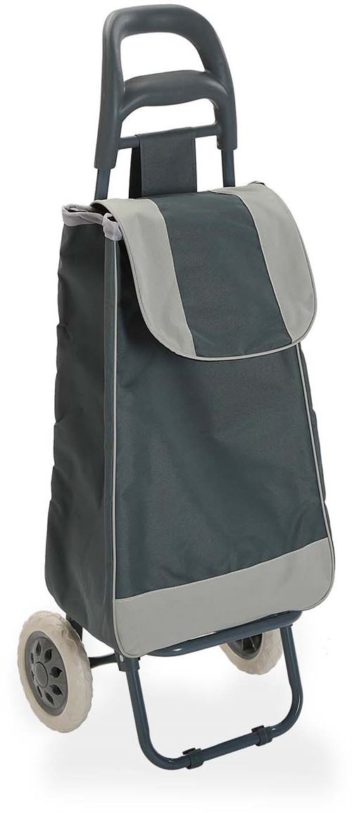 Versa - Chariot shopping en polyester 2 roulettes bicolores gris