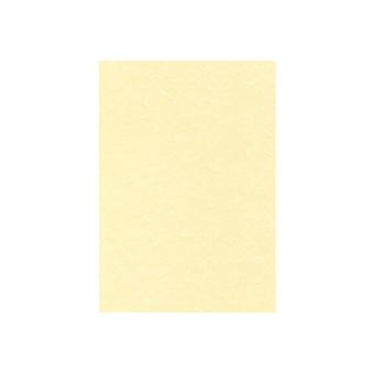 DECAdry PCL1677 - Champagne - A4 (210 x 297 mm) - 165 g/m² - 50 feuille(s) papier texturé - 1