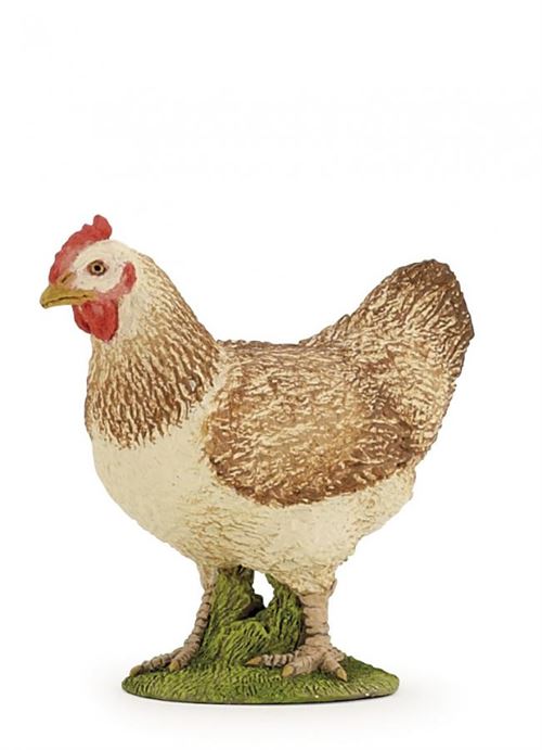 PAPO POULE
