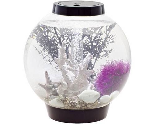 Comparer les prix de Aquarium 15 l Oase 71999 avec éclairage LED
