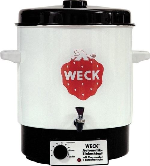 WECK WAT 14A STÉRILISATEUR 2000 WATT