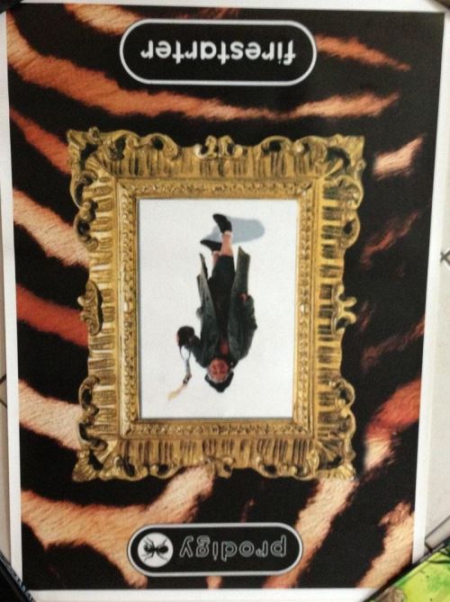 Prodigy - 61x86 cm - AFFICHE / POSTER