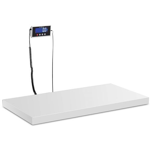 Steinberg Balance au sol - 500 kg / 100 g - 1000 x 500 mm - LCD