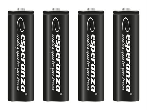 Esperanza EZA106 - Batterie 4 x AA / HR6 - NiMH - (rechargeables) - 2600 mAh