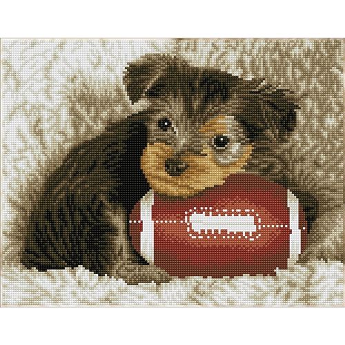 Diamond Dotz DQ8-017 - Bébé chien au ballon de foot US – Intermédiaire