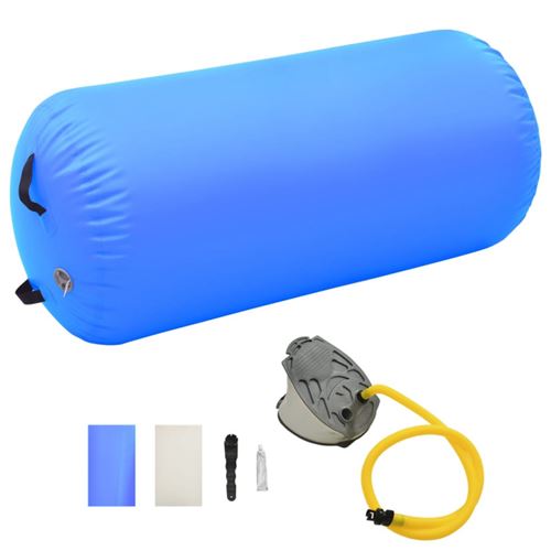 vidaXL Rouleau gonflable de gymnastique avec pompe 120x90 cm PVC Bleu