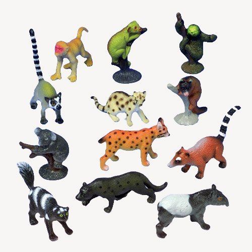 Figures d'animaux de la forêt tropicale assorties