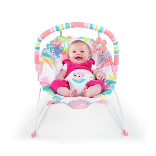 1 66 Sur Bright Starts Transat Bebe Vibrant Flamingo Vibes Transats Pour Bebe Achat Prix Fnac 1 66 Sur Bright Starts Transat Bebe Vibrant Flamingo Vibes Transats Pour Bebe Achat Prix Fnac