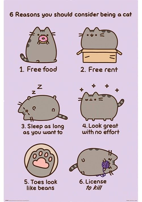 Affiche Maxi Pusheen Raisons d'?tre un chat