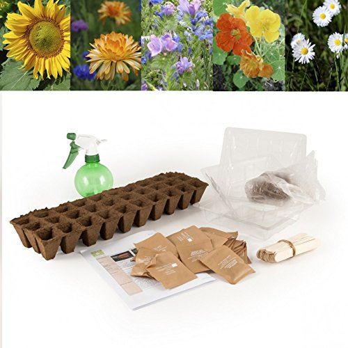 Graines de fleurs en coffret pour jardin à l'école