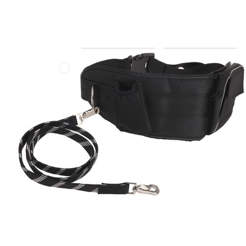 Meilleurs prix pour Laisse pour chien avec ceinture