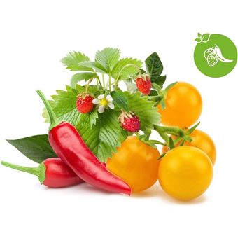 Click & Grow Recharge Mix Fruits et Légumes – 9 Capsules (3x3) pour Jardin Intelligent - 1