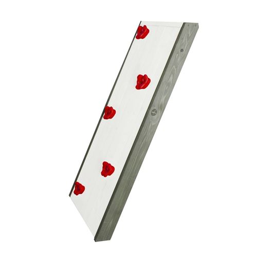 Mur d'escalade pour Beach Towers Sunny