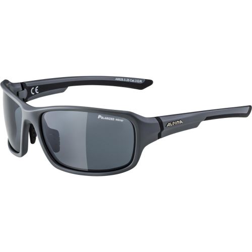 Alpina Lyron P Verres Noir/Gris