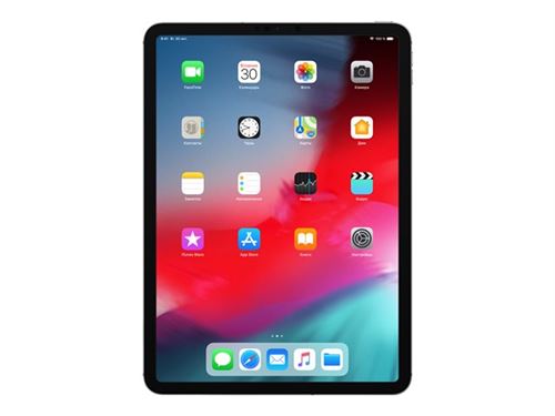 Apple 11-Inch iPad Pro Wi-Fi + Cellular - 1Ère Génération - Tablette - 256Go - 11" Ips (2388 X 1668) - 3G, 4G - Lte - Gris Sidéral